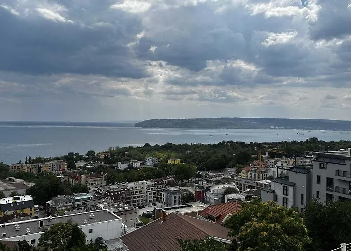 酒店 Quartz Briz 3*